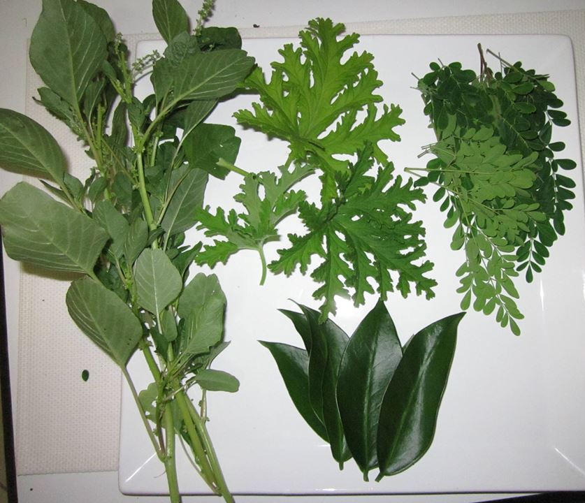 Ingredientes: suco arretado com moringa